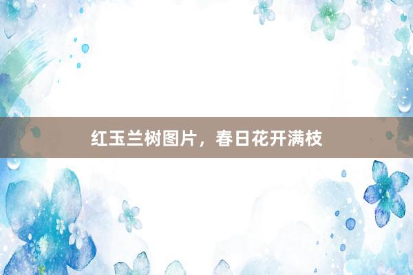 红玉兰树图片，春日花开满枝