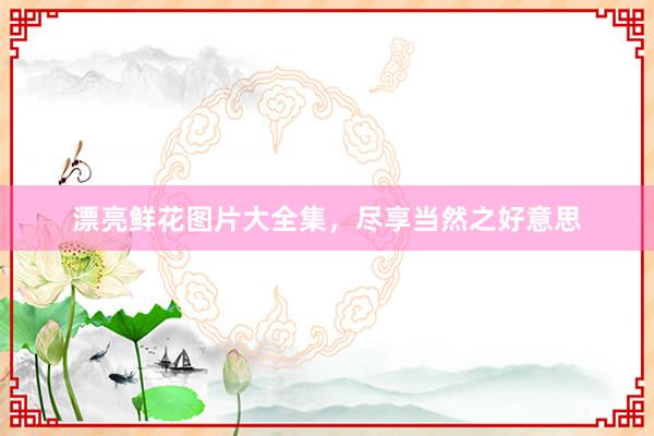 漂亮鲜花图片大全集，尽享当然之好意思